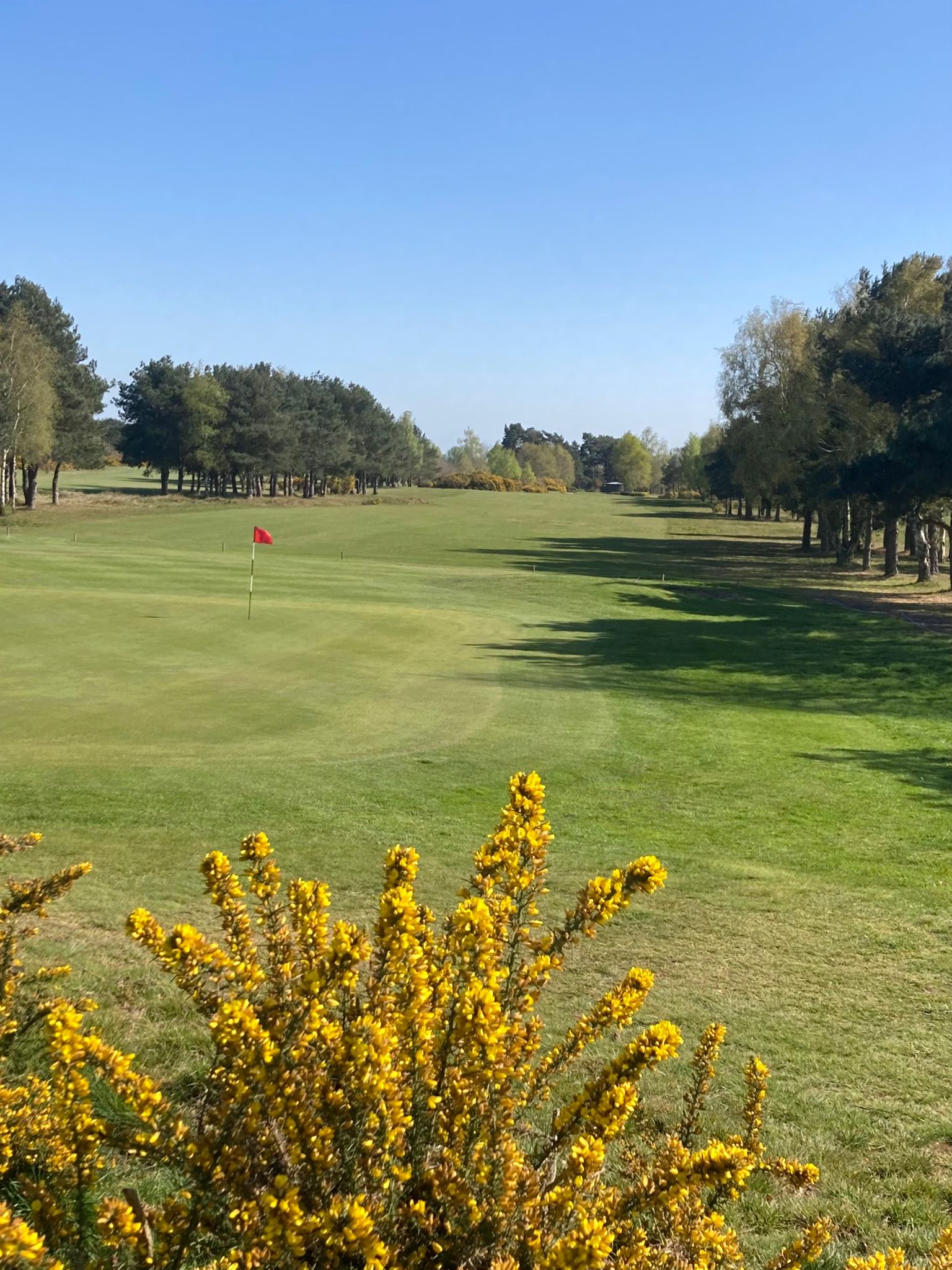 Bungay & Waveney Valley